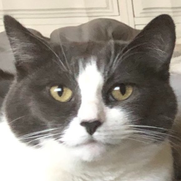 Meet your Posher, Alexis - Picture 1 of 1